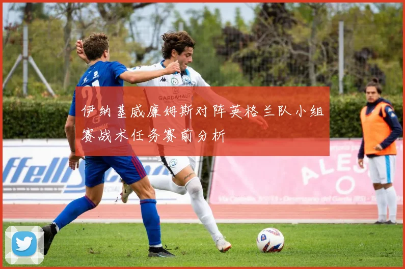 伊纳基威廉姆斯对阵英格兰队小组赛战术任务赛前分析