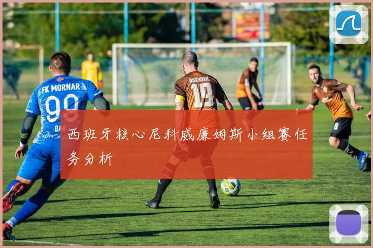 西班牙核心尼科威廉姆斯小组赛任务分析
