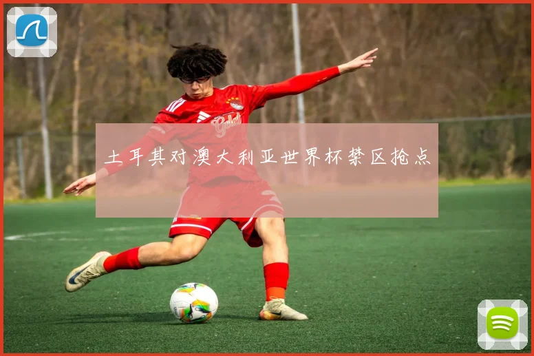土耳其对澳大利亚世界杯禁区抢点