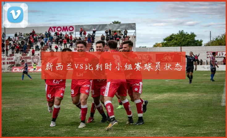 新西兰vs比利时小组赛球员状态