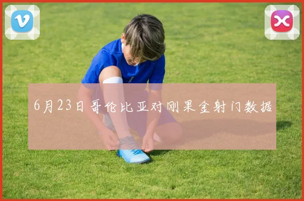 6月23日哥伦比亚对刚果金射门数据
